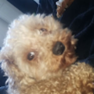 Meet your Posher, Aileen